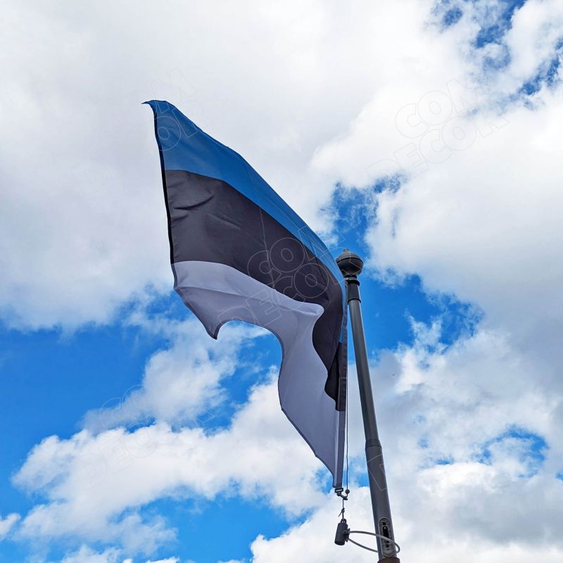 Estonian flag