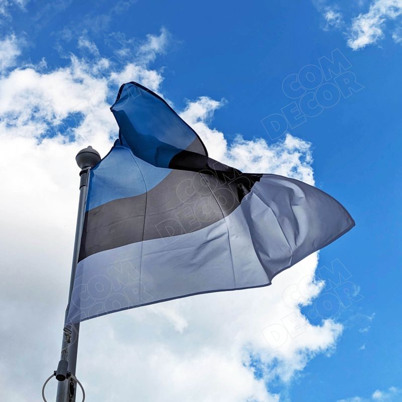 Estonian flag